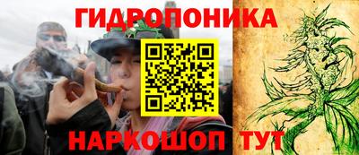 гашик Ипатово