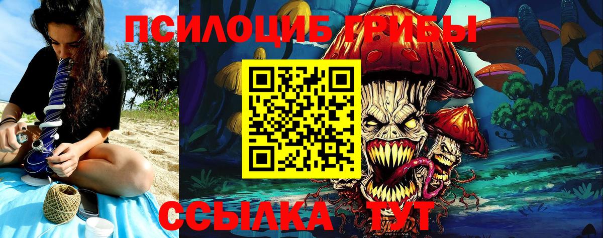 Псилоцибиновые грибы Psilocybine cubensis Магнитогорск