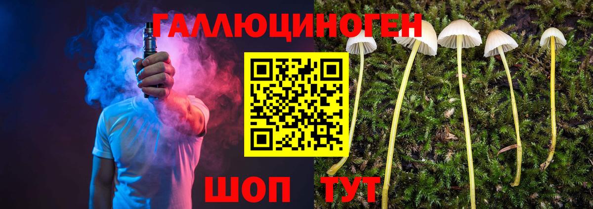 сколько стоит  Псилоцибиновые грибы ЛСД  Вход с VPN  Магнитогорск 